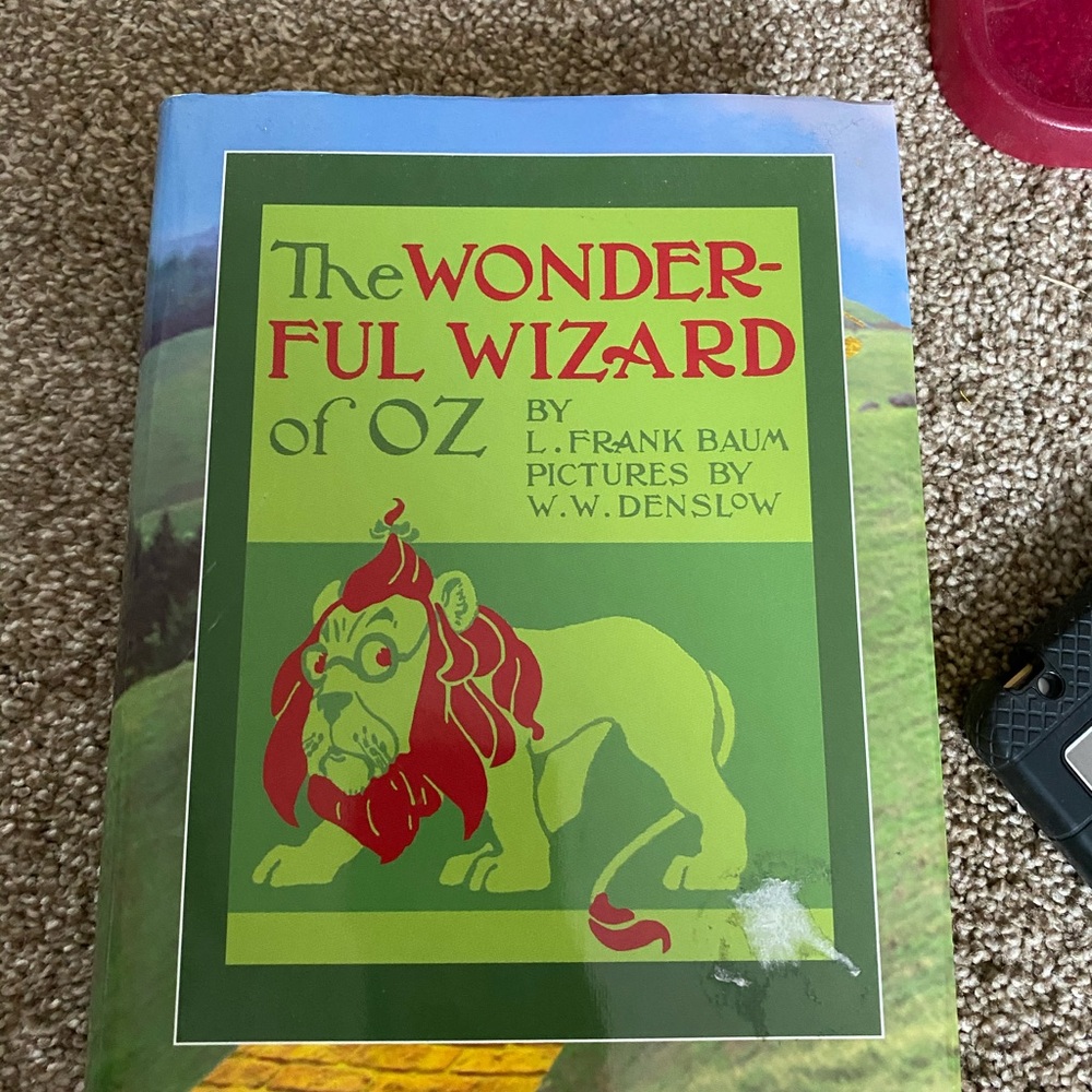 The wonderful wizard of oz book !